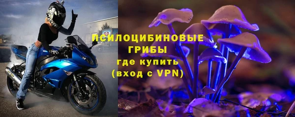 марки lsd Переславль-Залесский